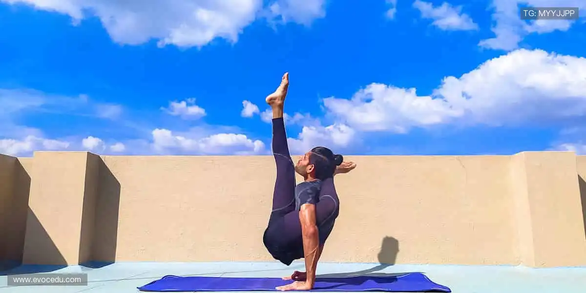 🎉 冠军之路，与你同在，